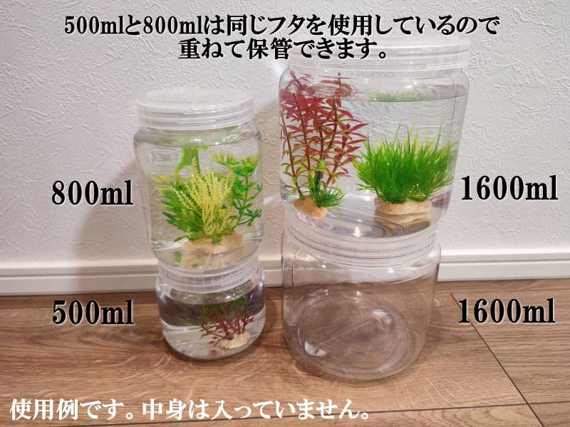 Amazon | 昆虫飼育ケース（幼虫、昆虫、カブトムシ、クワガタ飼育